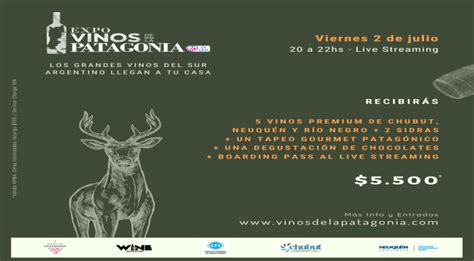 Llega La 2da Edición Virtual De Expo Vinos De La Patagonia Para