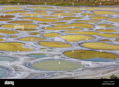 Spotted Lake Stock Photo Alamy