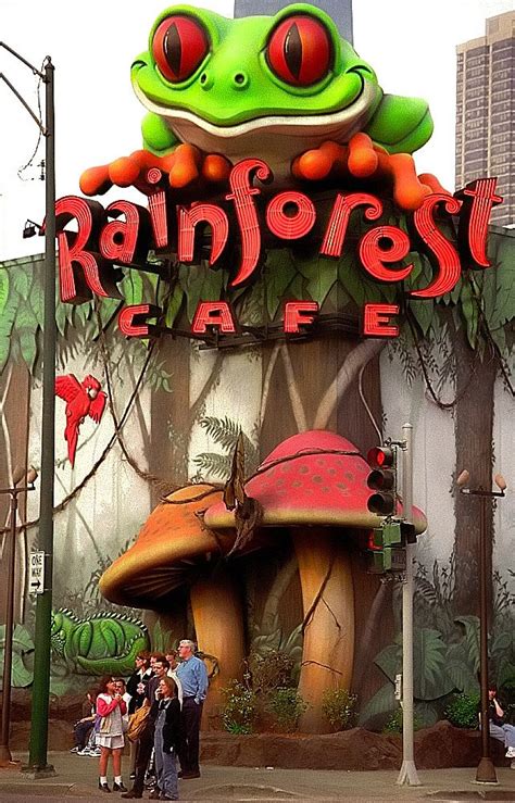 Chicago cat adoption, foster & commeownity lounge! Chicago - Rainforest Cafe in 2020 | Rainforest cafe ...