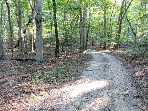 Best Hikes And Trails In Wildwood State Park Alltrails