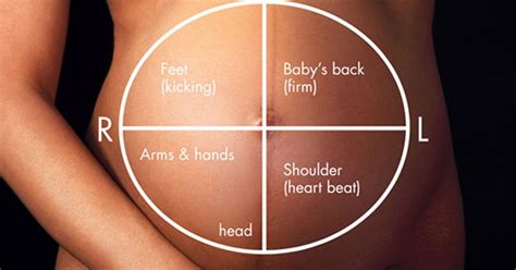 How To Know Your Babys Position Through Belly Mapping 33 Weeks