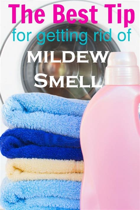 Best Tip For Getting Rid Of Mildew Smell Mildew Smell Cleaning Hacks