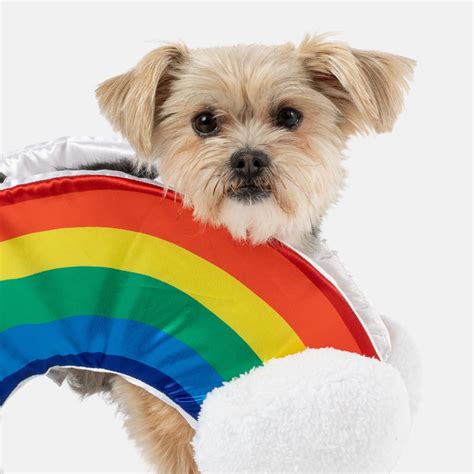 Rainbow Dog Costume Silver Paw