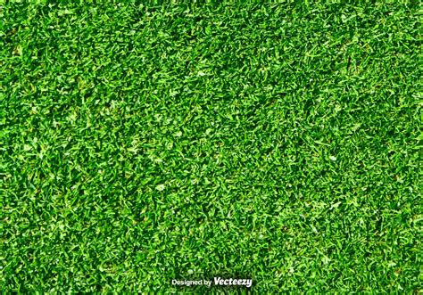 Grass Free Vector Art 19931 Free Downloads