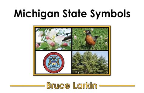 Michigan State Symbols First Grade Book Wilbooks