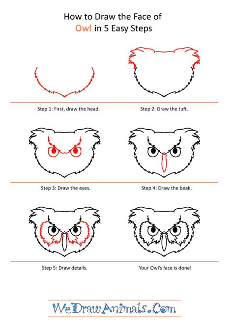 How To Draw An Owl Face
