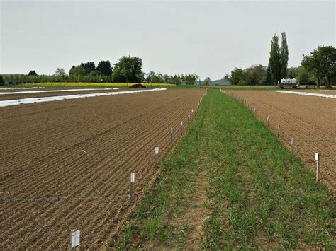 Maybe you would like to learn more about one of these? meine ernte: Miete deinen Garten in Stuttgart-Möhringen