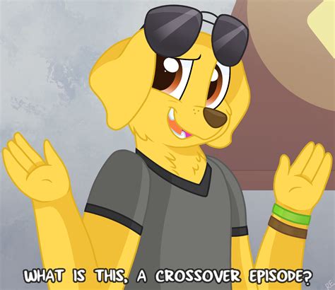 What Is This A Crossover Episode By Rainboweeveede On Newgrounds