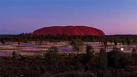 Illuminated Uluru Bing Wallpaper