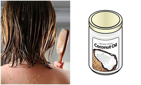 Coconut Oil Hair Growth Recipe Citasonlineacastcreatnans Blog