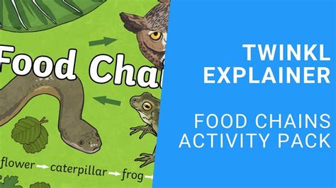 Ks Science Food Chains Activity Pack Youtube