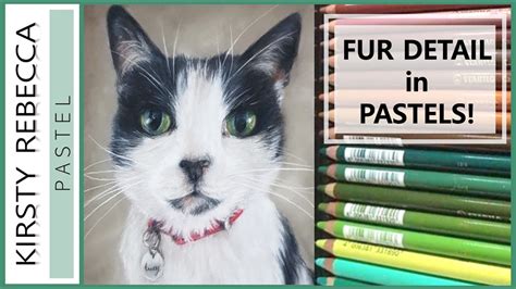 For our first cat, we will start very simple. HOW TO DRAW WITH PASTEL PENCILS // A realistic cat! - YouTube