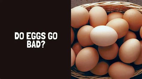 Do Eggs Go Bad How Long Do Eggs Last