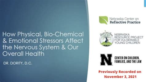 How Physical Bio Chemical And Emotional Stressors Affect The Nervous