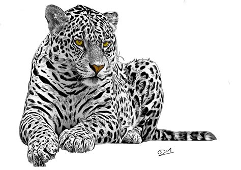Black And White Leopard Illustration Wall Art Art Print Etsy