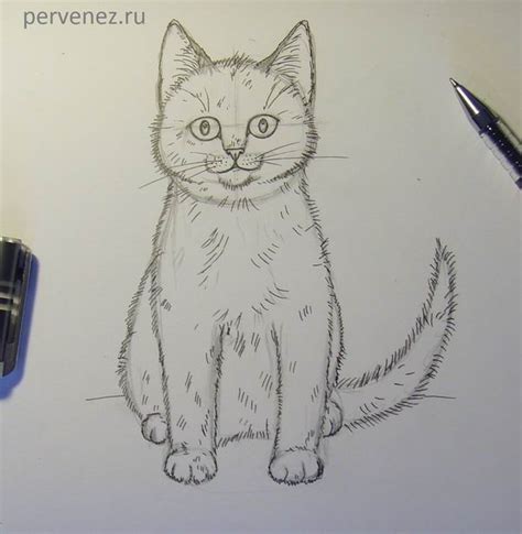 Rysunek Obraz Kot Rysunek Olowkiem Latwy
