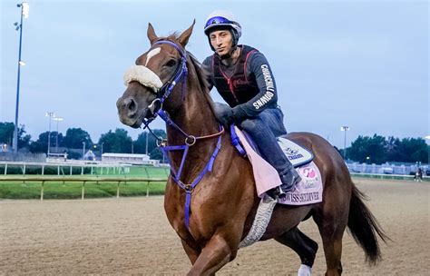 Road To 2020 Breeders Cup Three Heating Up Three Cooling Down For