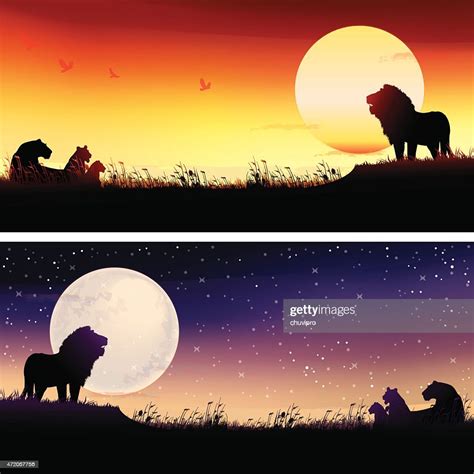 African Lions Silhouettes Safari Illustrations Set High Res Vector