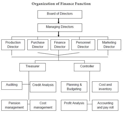 Organization Of The Finance Functions Study Material Lecturing Notes