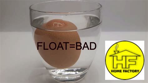 Egg Water Test Good Or Bad Eggs How To Check Egg Is Good Or Bad
