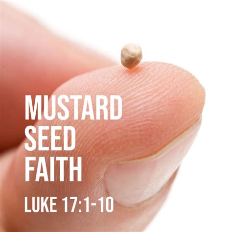 Luke 171 10 Mustard Seed Faith God Centered Life