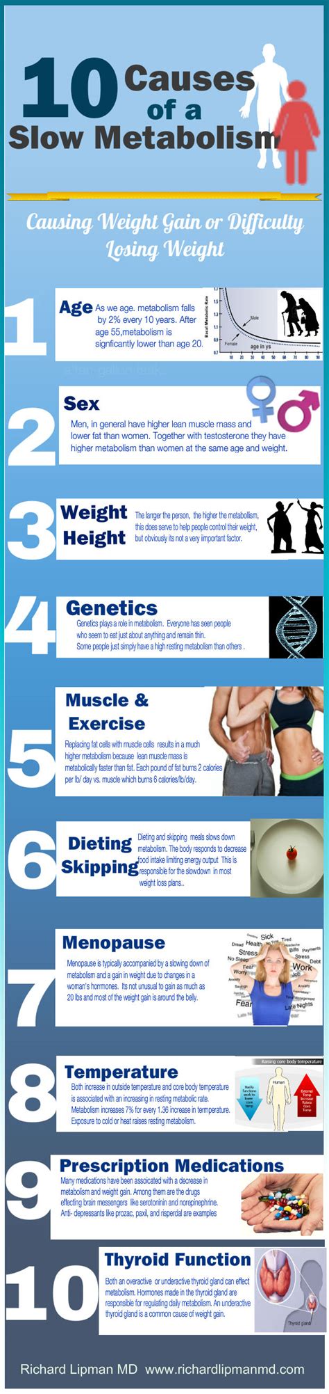 Infographic 10 Causes Of A Slow Metabolism