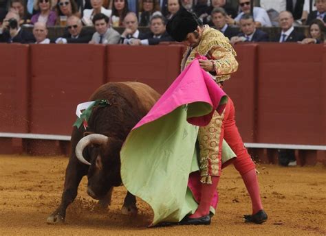 FAQ About Bullfighting Spain S Oldest Tradition