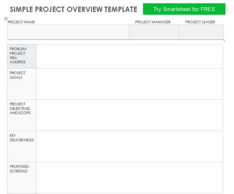 Sample Project Overview Templates Word Word Excel Fomats