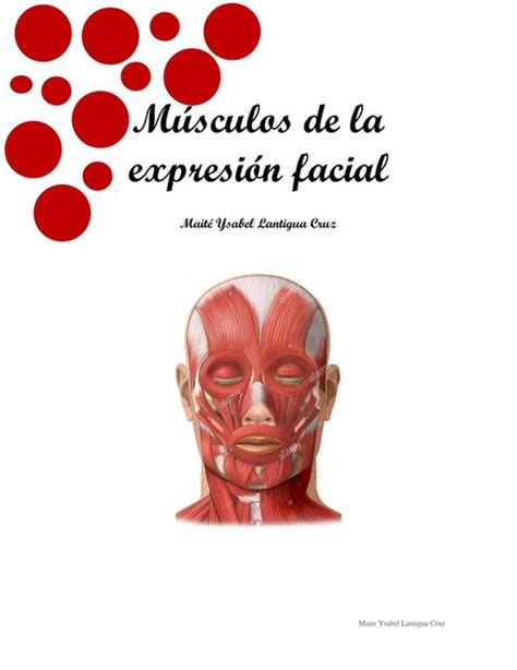 Músculos De La Expresión Facial Anatomía Músculos De La Cara Udocz