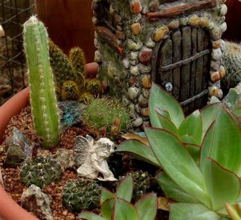 Container Ideas Miniature Succulent Fairy Garden Birds And Blooms