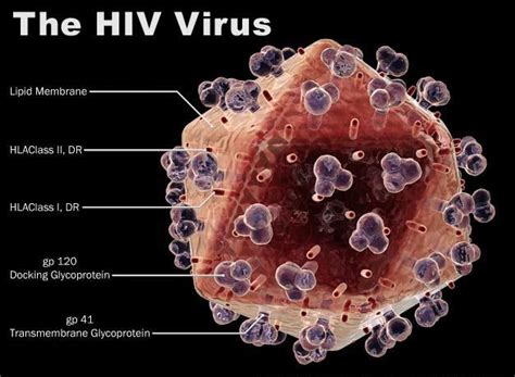 A Case Of Hivaids Cured By Homeopathy Homeomodulation