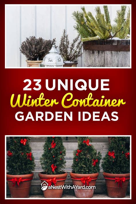 23 Unique Winter Container Garden Ideas In 2020 Winter Container