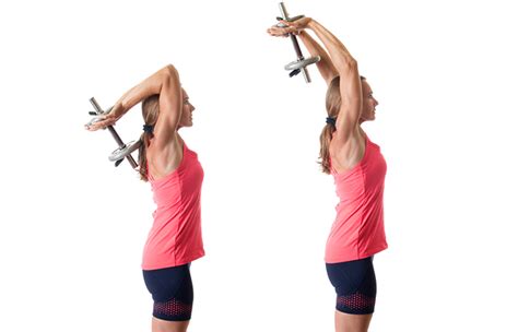 Easy Tricep Workouts Without Weights And Cables