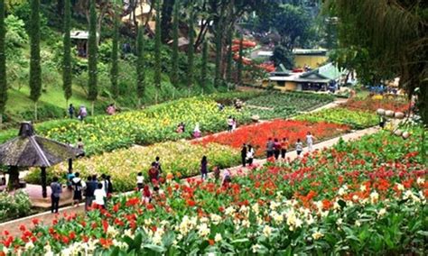 Bahkan, taman rumah di lahan sempit atau rumah yang kecil bisa punya nilai plus dibandingkan dengan taman rumah mewah. Inilah 10 Taman Bunga Di Indonesia Yang Wajib Anda ...