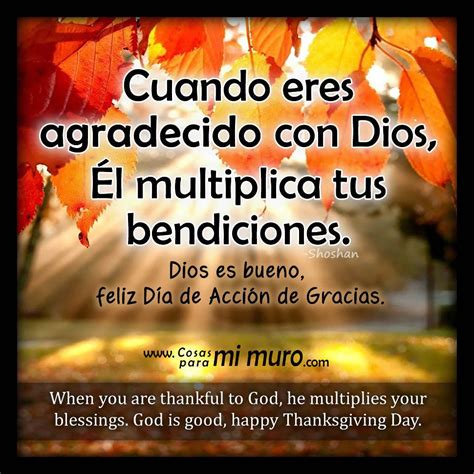 Cuando eres agradecido con Dios Él multiplica tus bendiciones Dios es bueno feliz Feliz