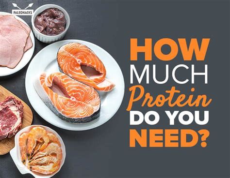 How Much Protein Do You Really Need On The Paleo Diet Health