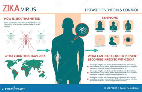 Zika Virus Symptome Infographics Vektor Abbildung Illustration Von Hintergrund Konzept