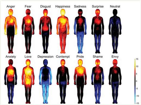 11 Interesting Facts About Human Emotions That You Should Know