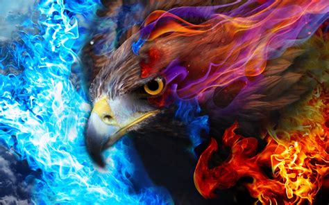 Wallpaper : sky, blue, fire, eagle, color, bird, psychedelic art 1920x1200 - ludendorf - 20190 ...