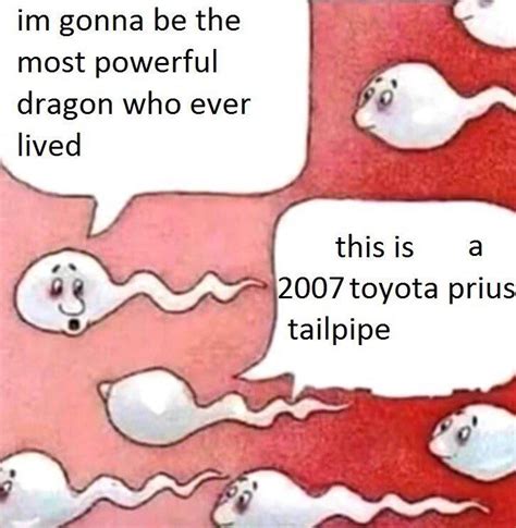 Hybrid Lore Two Sperm Cells Talking Know Your Meme