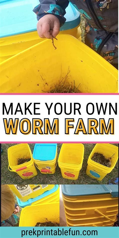 Diy Worm Farm