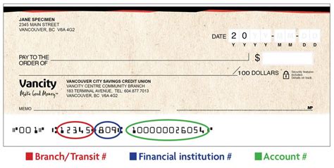 Account numbers are anywhere from 7 digits upwards that identify the individual account for that person. How To Read A Cheque For Direct Deposit | earlydeposit.org