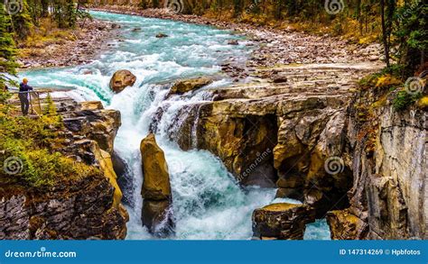 The Turbulent Turquoise Water Of The Sunwapta River As It Tumbles Down