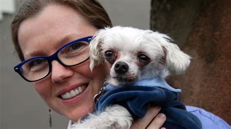 Are You Cutting It As A Pet Owner Vet Anne Fawcett Lists What Your