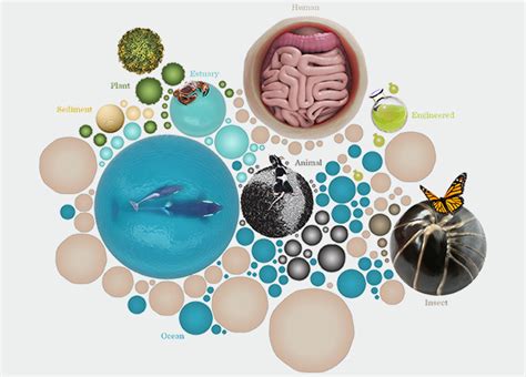 Whats A Microbiome European Bioinformatics Institute
