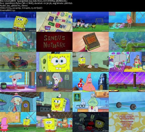 Spongebob Sea Side Story 2017 Dvdrip 380mb Edylion