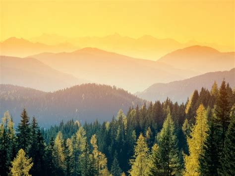 Switzerland Nature Landscape Trees Forest Mountains Mist Sunrise