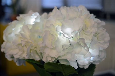Luminous Led Flowers Wearablewednesday Adafruit