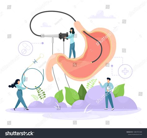 Diagnosis Of The Stomach Using Endoscopy Human Royalty Free Stock