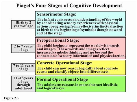 Piaget Stages Of Cognitive Development Chart